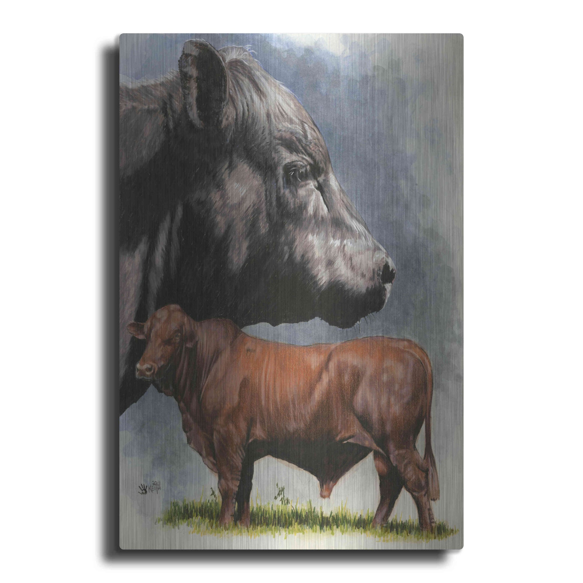 Luxe Metal Art 'Angus Cattle' by Barbara Keith, Metal Wall Art