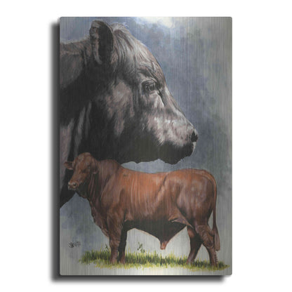Luxe Metal Art 'Angus Cattle' by Barbara Keith, Metal Wall Art