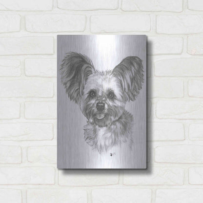 Luxe Metal Art 'Chion' by Barbara Keith, Metal Wall Art,12x16