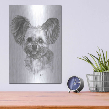 Luxe Metal Art 'Chion' by Barbara Keith, Metal Wall Art,12x16