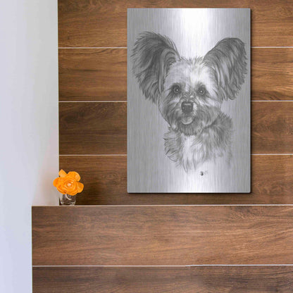 Luxe Metal Art 'Chion' by Barbara Keith, Metal Wall Art,12x16