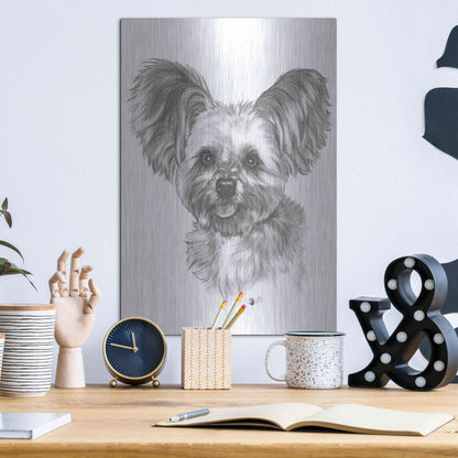 Luxe Metal Art 'Chion' by Barbara Keith, Metal Wall Art,12x16