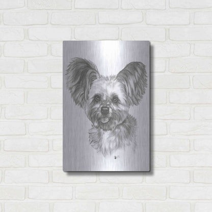 Luxe Metal Art 'Chion' by Barbara Keith, Metal Wall Art,16x24