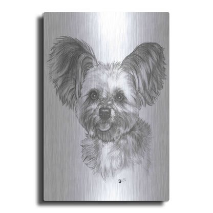 Luxe Metal Art 'Chion' by Barbara Keith, Metal Wall Art