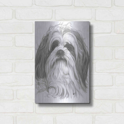 Luxe Metal Art 'Shih-Poo' by Barbara Keith, Metal Wall Art,12x16