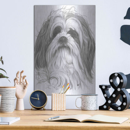 Luxe Metal Art 'Shih-Poo' by Barbara Keith, Metal Wall Art,12x16