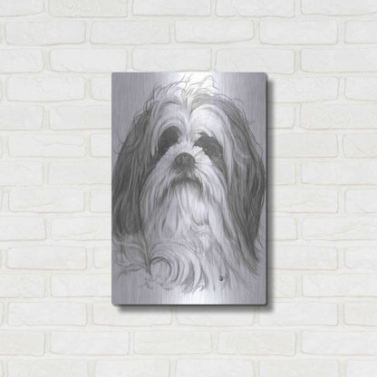 Luxe Metal Art 'Shih-Poo' by Barbara Keith, Metal Wall Art,16x24