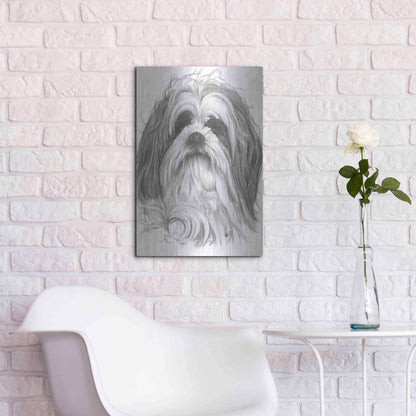 Luxe Metal Art 'Shih-Poo' by Barbara Keith, Metal Wall Art,16x24