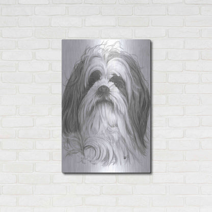 Luxe Metal Art 'Shih-Poo' by Barbara Keith, Metal Wall Art,24x36