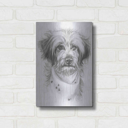 Luxe Metal Art 'Pom-A-Poo' by Barbara Keith, Metal Wall Art,12x16