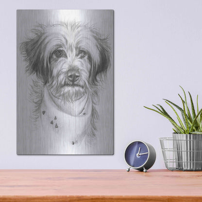 Luxe Metal Art 'Pom-A-Poo' by Barbara Keith, Metal Wall Art,12x16