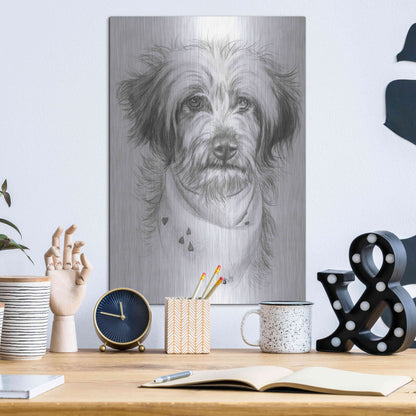 Luxe Metal Art 'Pom-A-Poo' by Barbara Keith, Metal Wall Art,12x16