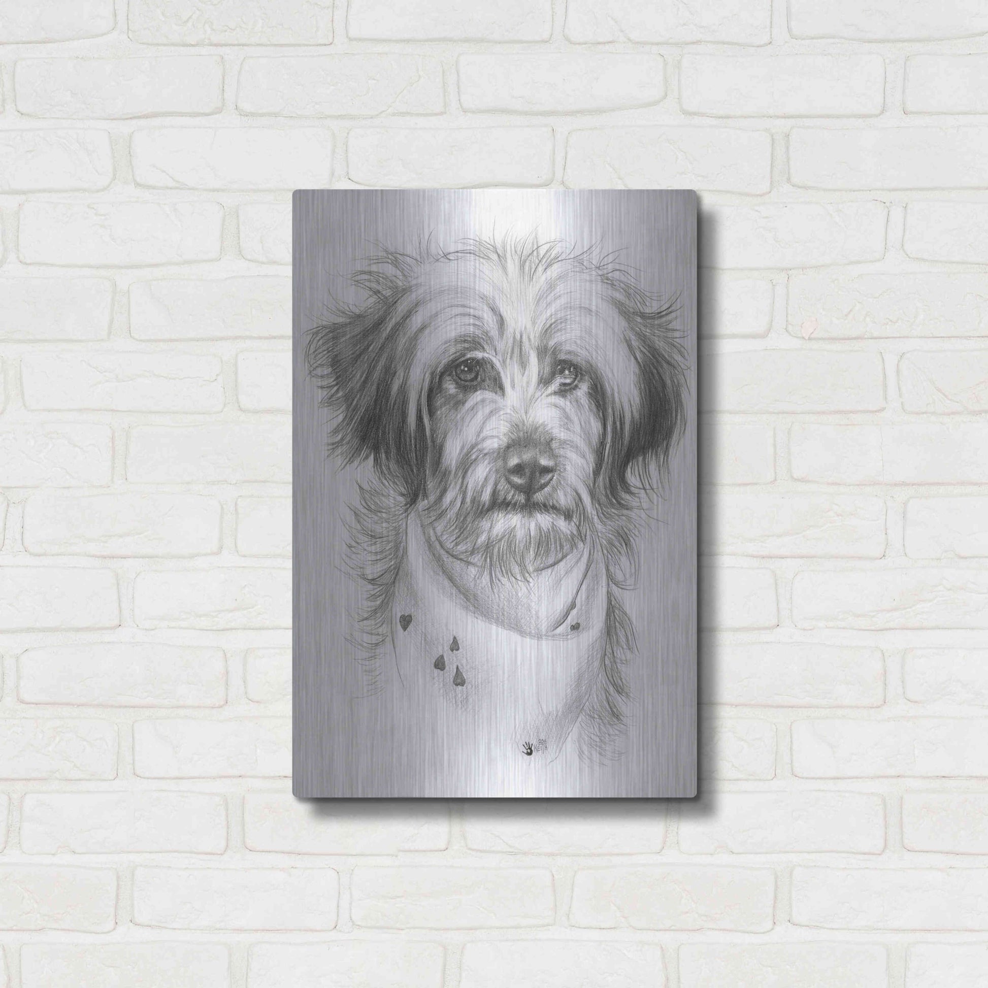 Luxe Metal Art 'Pom-A-Poo' by Barbara Keith, Metal Wall Art,16x24