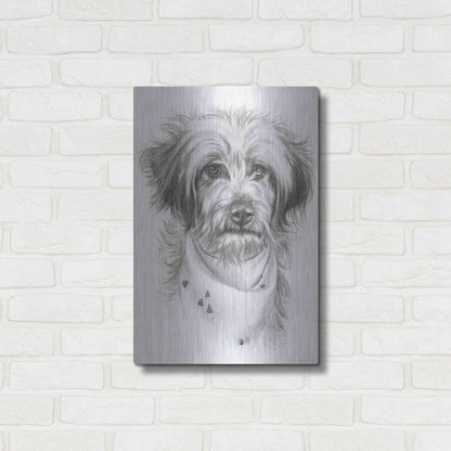 Luxe Metal Art 'Pom-A-Poo' by Barbara Keith, Metal Wall Art,16x24