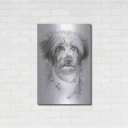 Luxe Metal Art 'Pom-A-Poo' by Barbara Keith, Metal Wall Art,24x36