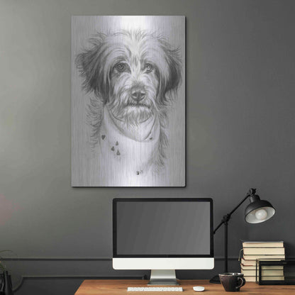 Luxe Metal Art 'Pom-A-Poo' by Barbara Keith, Metal Wall Art,24x36