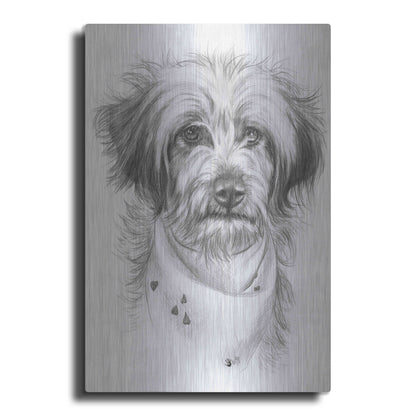 Luxe Metal Art 'Pom-A-Poo' by Barbara Keith, Metal Wall Art