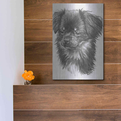 Luxe Metal Art 'Cheeks' by Barbara Keith, Metal Wall Art,12x16