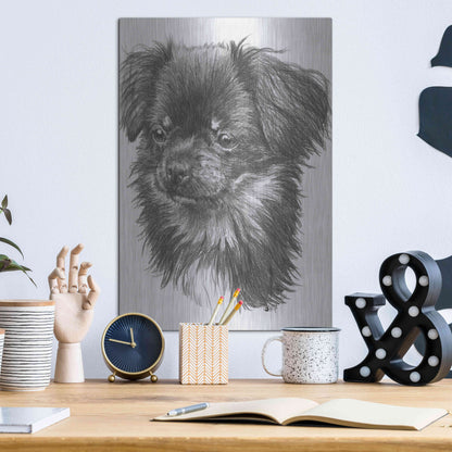 Luxe Metal Art 'Cheeks' by Barbara Keith, Metal Wall Art,12x16