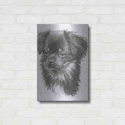 Luxe Metal Art 'Cheeks' by Barbara Keith, Metal Wall Art,16x24