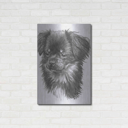 Luxe Metal Art 'Cheeks' by Barbara Keith, Metal Wall Art,24x36