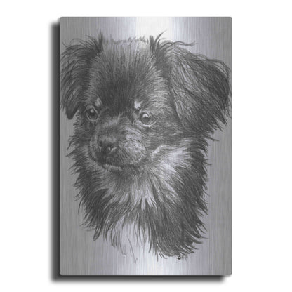 Luxe Metal Art 'Cheeks' by Barbara Keith, Metal Wall Art