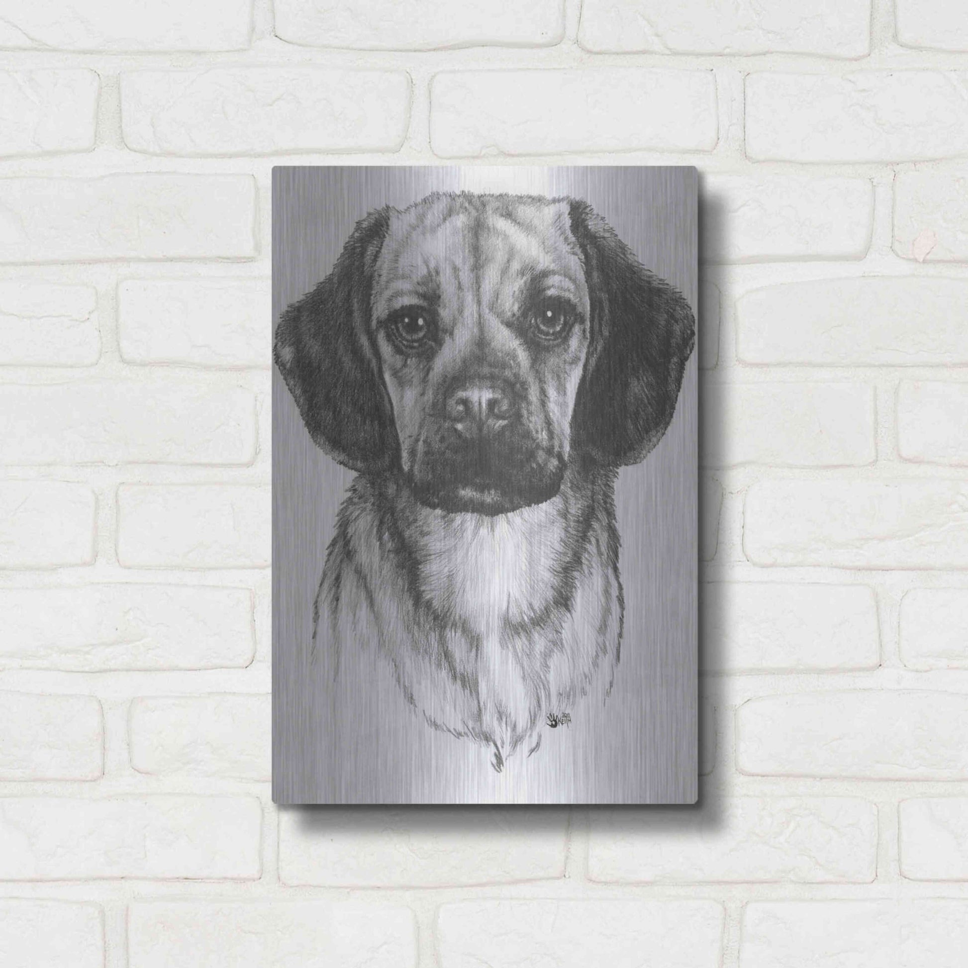 Luxe Metal Art 'Mr. Puggle' by Barbara Keith, Metal Wall Art,12x16