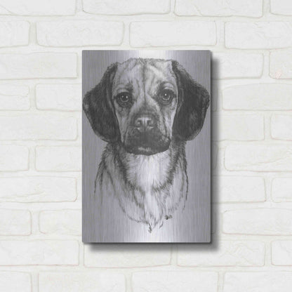 Luxe Metal Art 'Mr. Puggle' by Barbara Keith, Metal Wall Art,12x16