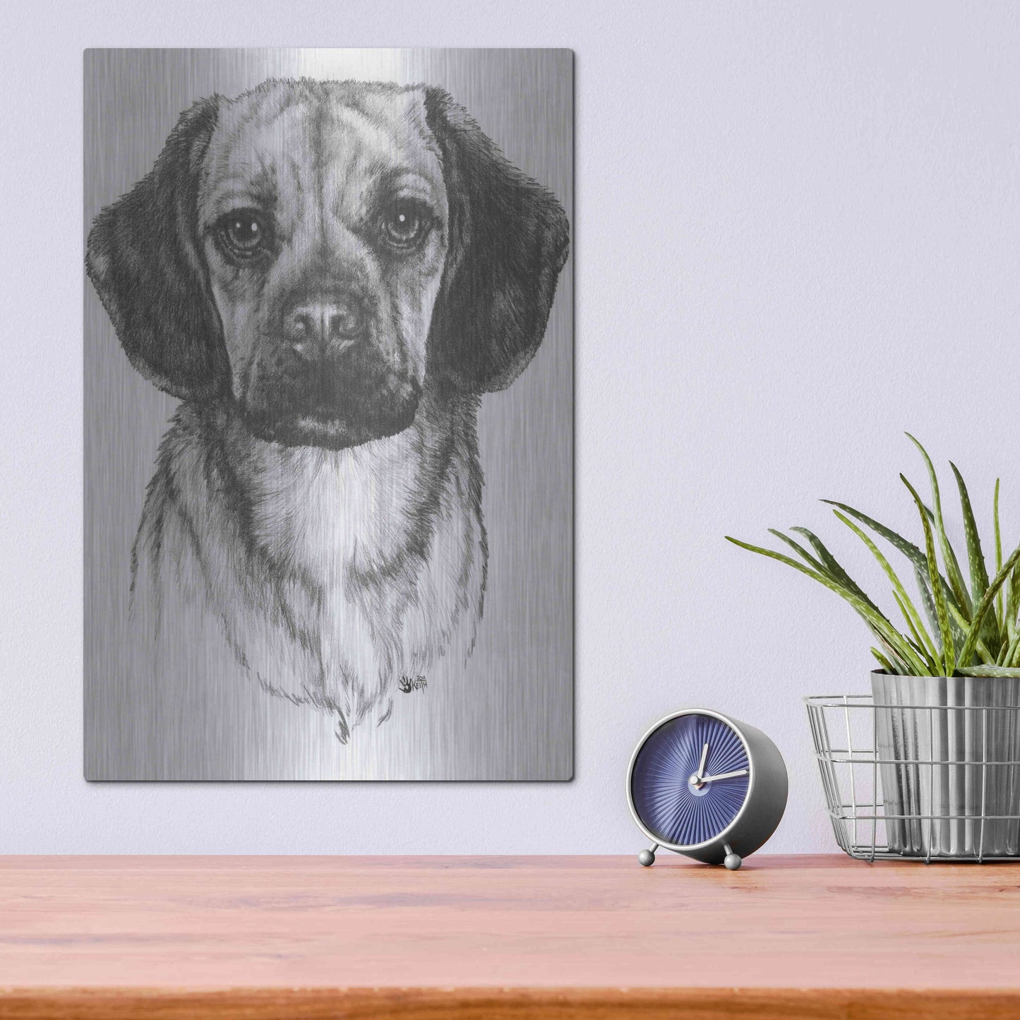 Luxe Metal Art 'Mr. Puggle' by Barbara Keith, Metal Wall Art,12x16