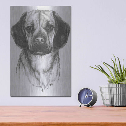 Luxe Metal Art 'Mr. Puggle' by Barbara Keith, Metal Wall Art,12x16