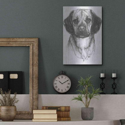 Luxe Metal Art 'Mr. Puggle' by Barbara Keith, Metal Wall Art,12x16