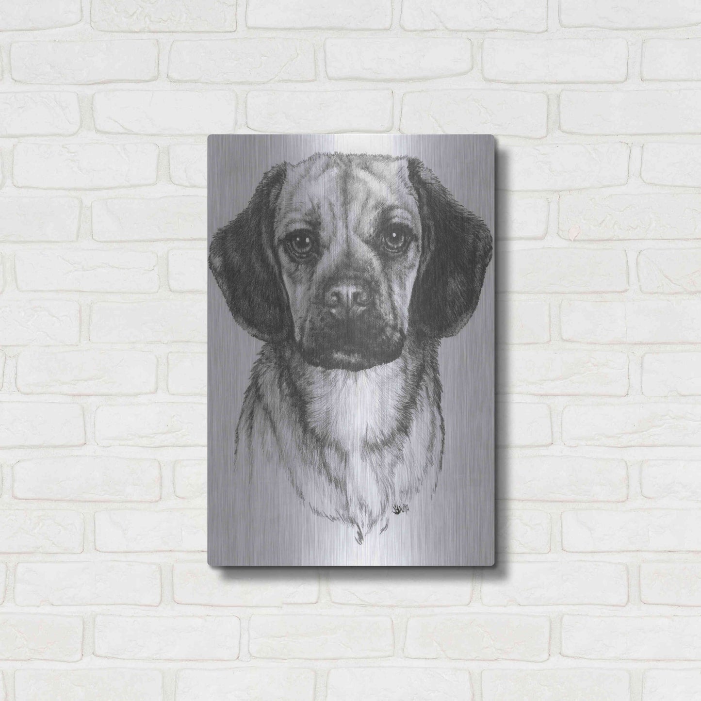 Luxe Metal Art 'Mr. Puggle' by Barbara Keith, Metal Wall Art,16x24