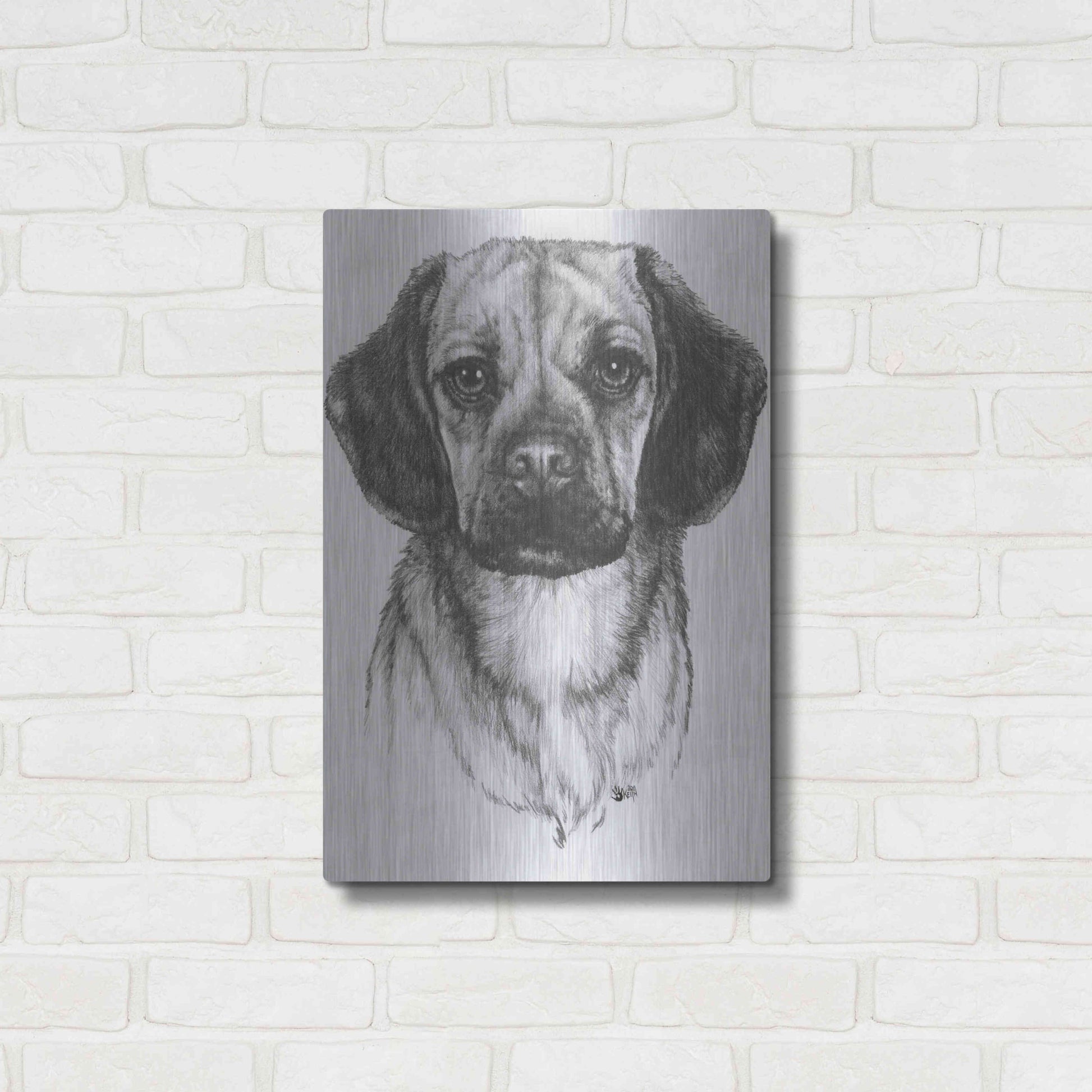 Luxe Metal Art 'Mr. Puggle' by Barbara Keith, Metal Wall Art,16x24