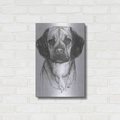 Luxe Metal Art 'Mr. Puggle' by Barbara Keith, Metal Wall Art,16x24