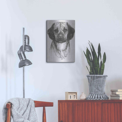 Luxe Metal Art 'Mr. Puggle' by Barbara Keith, Metal Wall Art,16x24