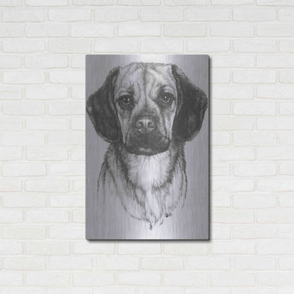 Luxe Metal Art 'Mr. Puggle' by Barbara Keith, Metal Wall Art,24x36