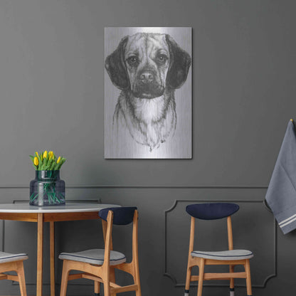 Luxe Metal Art 'Mr. Puggle' by Barbara Keith, Metal Wall Art,24x36