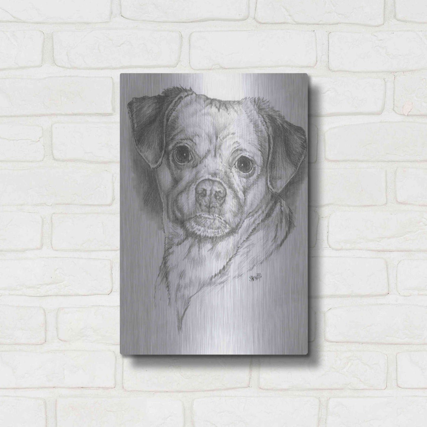 Luxe Metal Art 'Pugwawa' by Barbara Keith, Metal Wall Art,12x16