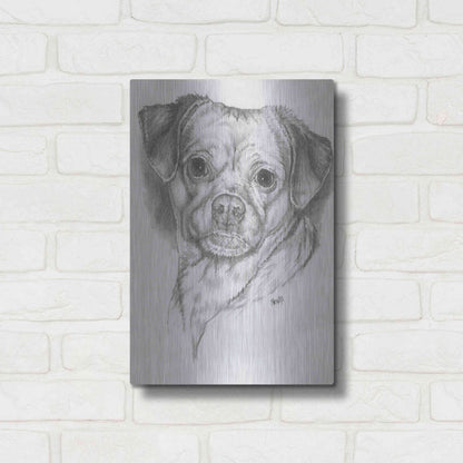 Luxe Metal Art 'Pugwawa' by Barbara Keith, Metal Wall Art,12x16