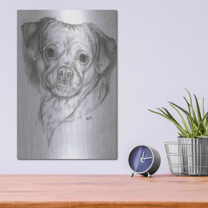 Luxe Metal Art 'Pugwawa' by Barbara Keith, Metal Wall Art,12x16