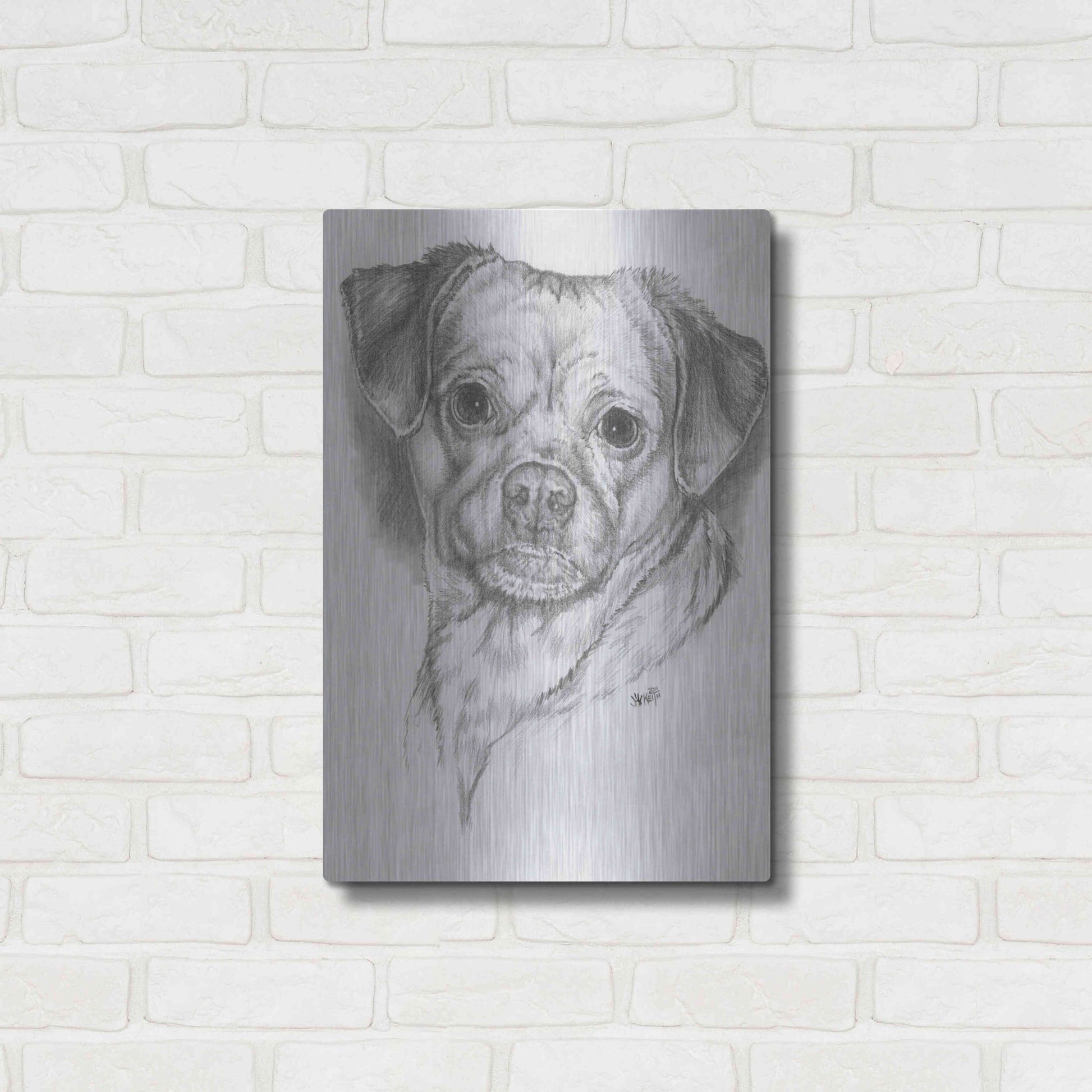 Luxe Metal Art 'Pugwawa' by Barbara Keith, Metal Wall Art,16x24