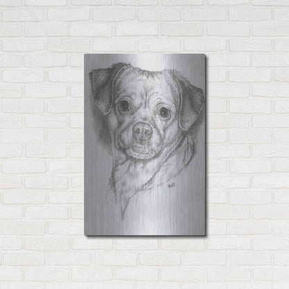 Luxe Metal Art 'Pugwawa' by Barbara Keith, Metal Wall Art,24x36