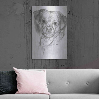 Luxe Metal Art 'Pugwawa' by Barbara Keith, Metal Wall Art,24x36