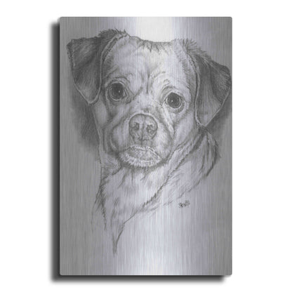 Luxe Metal Art 'Pugwawa' by Barbara Keith, Metal Wall Art