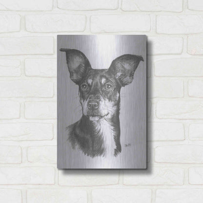 Luxe Metal Art 'Chiweenie' by Barbara Keith, Metal Wall Art,12x16