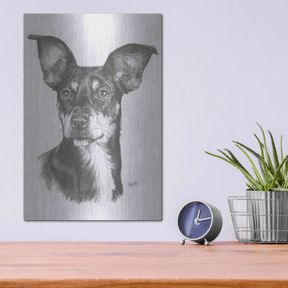 Luxe Metal Art 'Chiweenie' by Barbara Keith, Metal Wall Art,12x16