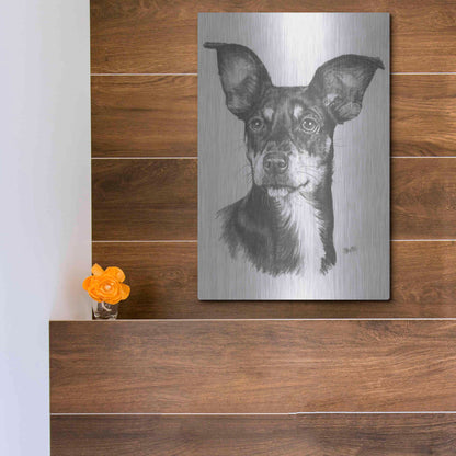 Luxe Metal Art 'Chiweenie' by Barbara Keith, Metal Wall Art,12x16