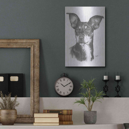 Luxe Metal Art 'Chiweenie' by Barbara Keith, Metal Wall Art,12x16
