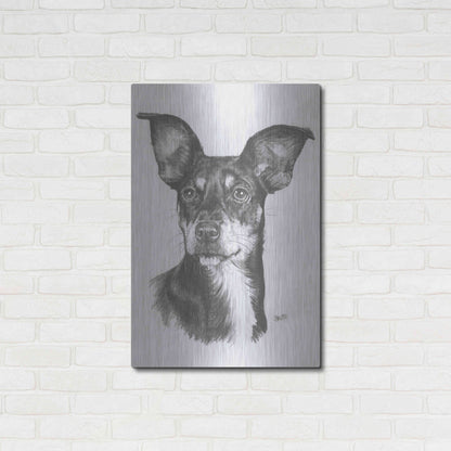 Luxe Metal Art 'Chiweenie' by Barbara Keith, Metal Wall Art,24x36