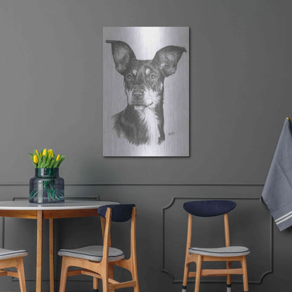 Luxe Metal Art 'Chiweenie' by Barbara Keith, Metal Wall Art,24x36